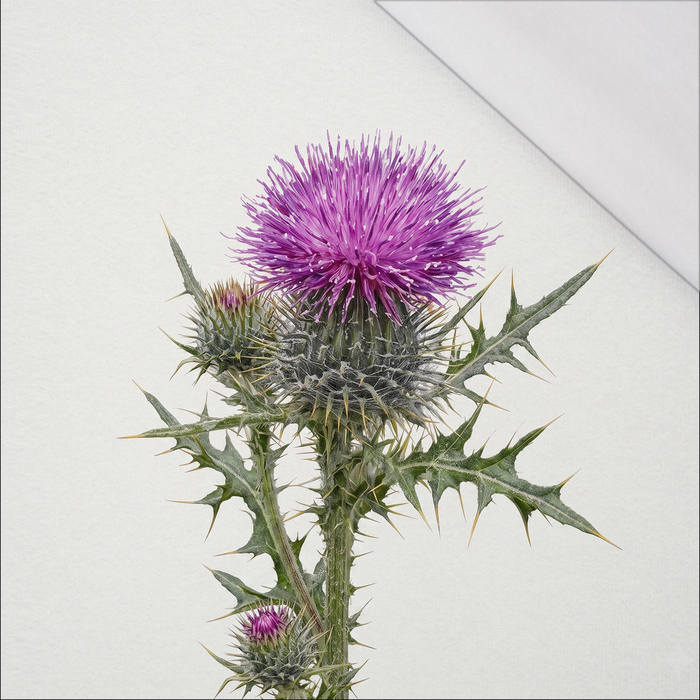 PASTEL WILDFLOWER - panel (60cm x 50cm) SINGLE JERSEY