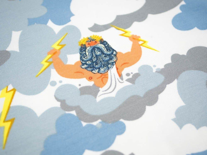 ZEUS - Single Jersey TE210