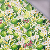 TUTTI FRUTTI WZ. 41 / lime cream - softshell