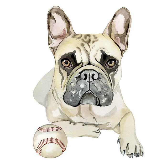 BULLDOG / beige - SINGLE JERSEY PANEL 75cm x 80cm