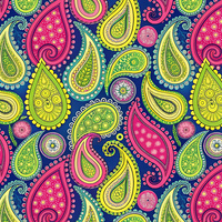 PAISLEY wz.10- Slub Weave