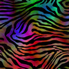 ANIMAL SKIN wz.6 - lycra 300g