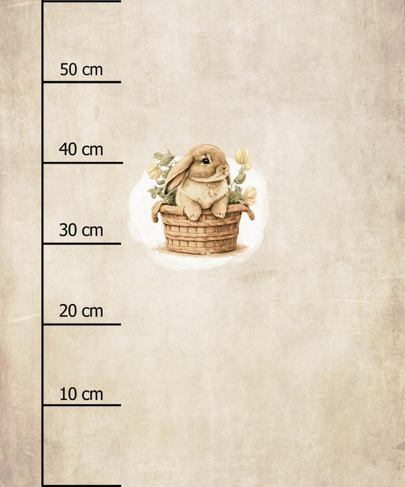 BUNNY IN A BASKET PAT. 2 - PANEL (60cm x 50cm) SINGLE JERSEY