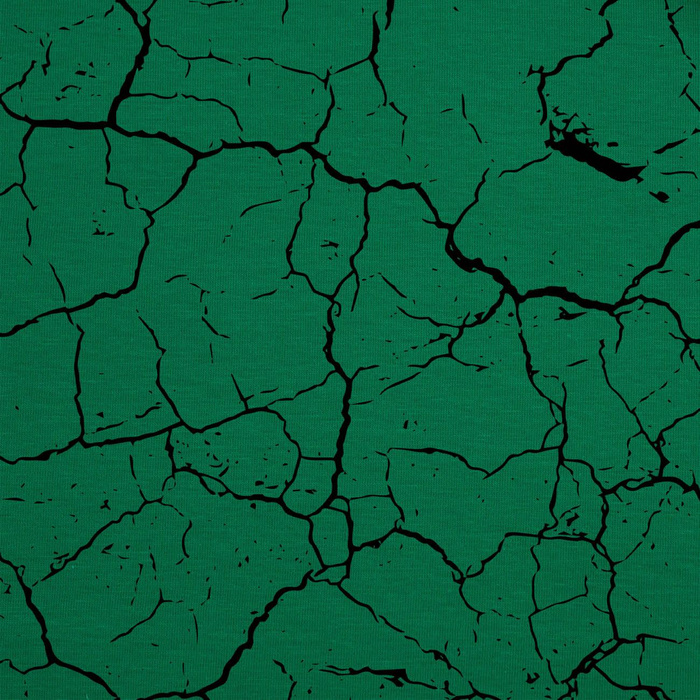 VERBRANNTE ERDE (schwarz) / B-27 - grün 