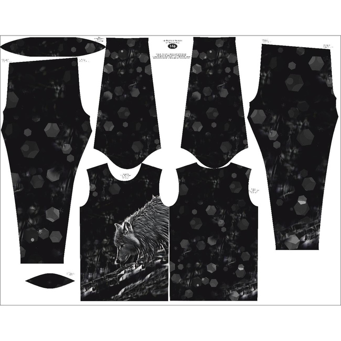 THERMO BOY'S SET (LUCAS) - ARCTIC WOLF - sewing set 128