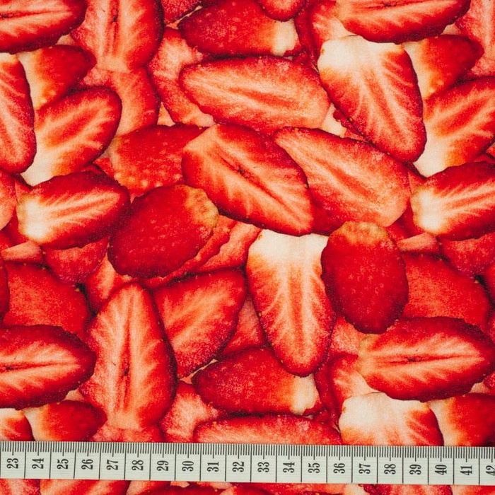 ERDBEEREN - SP250 Sommersweat