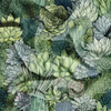 SUCCULENT PLANTS PAT. 5 - Cotton muslin