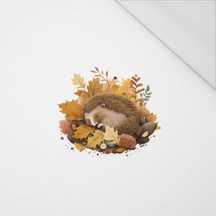SLEEPING HEDGEHOG - PANEL (40cm x 40cm) ORGANICZNY SINGLE JERSEY