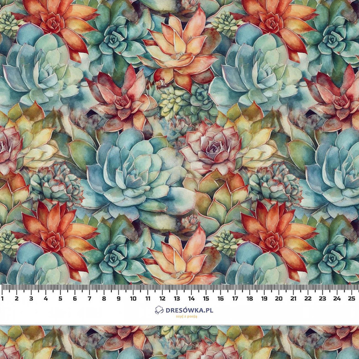 SUCCULENT PLANTS VZ. 7