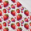 TUTTI FRUTTI WZ. 39 - single jersey