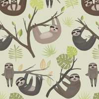 SLOTHS / mosteras (SLOTHS) / pistazie - softshell