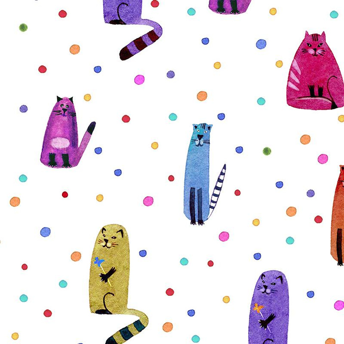 KITTEN FRENZY - softshell