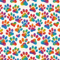COLOR POP WZ.1