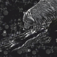 ARCTIC WOLF -  PANEL (60cm x 50cm) looped knit fabric with elastane ITY