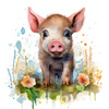 WATERCOLOR PIGGY - panel (75cm x 80cm)