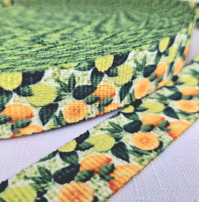 Popruhová stuha s potiskem 25 mm - Tutti Frutti wz. 11 / lime creame