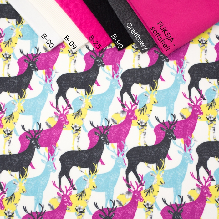 KOLOROWE JELENIE - softshell / hard