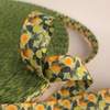 Popruhová stuha s potiskem 25 mm - Tutti Frutti wz. 11 / lime creame