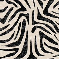 ZEBRA PAT. 1 - Crepe