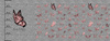 ALWAYS BEAUTIFUL (GLITTER SCHMETTERLINGE) / ACID WASH GRAU - panoramisches Paneel  Sommersweat (60cm x 155cm)