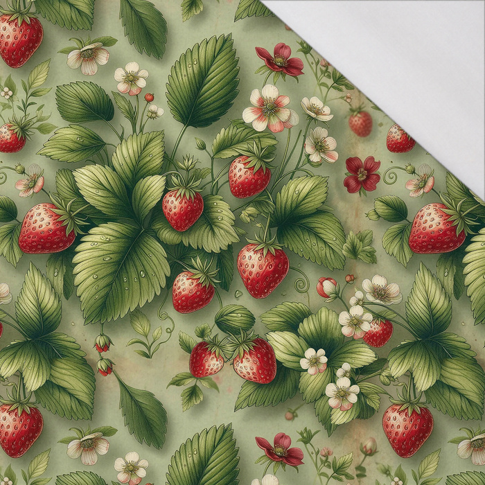 TUTTI FRUTTI WZ. 25 - single jersey