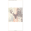 KISSEN 45x45 - HIRSCH (ADVENTURE) / boards - Baumwoll Webware - Nähset