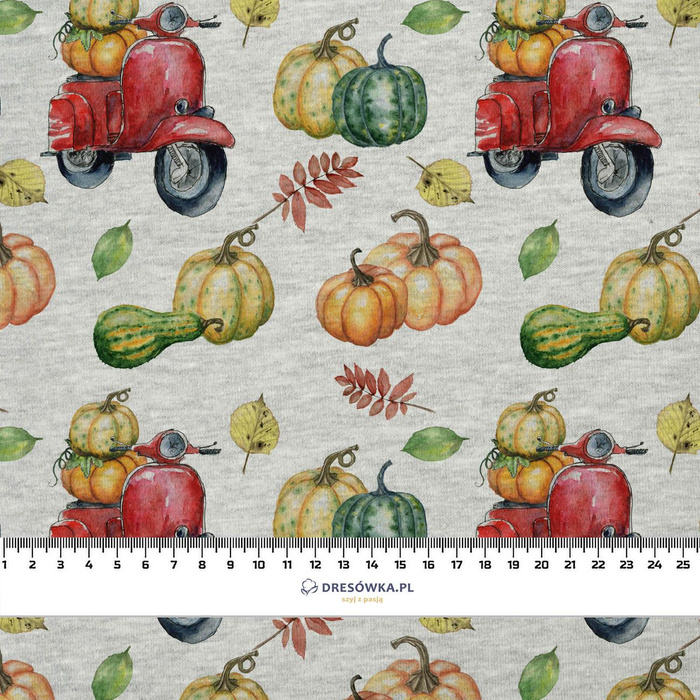 PUMPKINS ON THE SCOOTER (leaves) (PUMPKIN GARDEN)/ melange light grey 