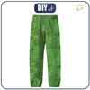 CHILDREN'S SOFTSHELL TROUSERS (YETI) - DRAGON DINO / background (110/116)