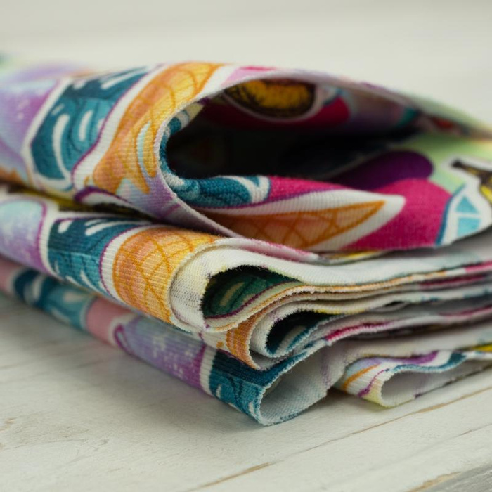 EINHÖRNER UND EISCREME / regenbogen - bio single jerset mit Elastan TE210 Sommersweat