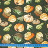 PUMPKINS AND ZUCCHINI / olive (PUMPKIN GARDEN) - single jersey 
