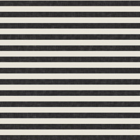STRIPES 1x1 - acid ecru / acid black