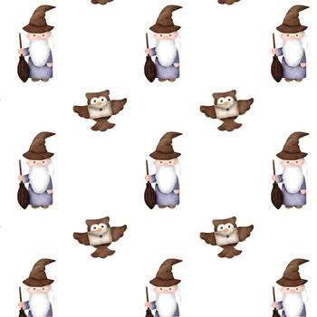 CZARODZIEJE / sowy (MAGICZNA SZKOŁA)