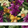 EXOTIC ORCHIDS MS. 7 - Satin
