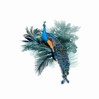 WATERCOLOR PEACOCK - PANEL (60cm x 50cm) tkanina wodoodporna