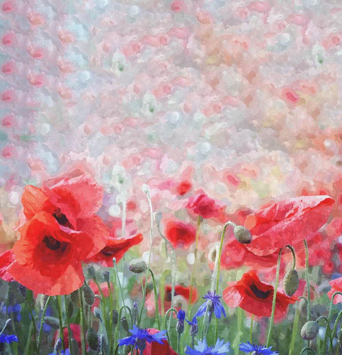 MÁKY vz. 1 - PANEL SINGLE JERSEY