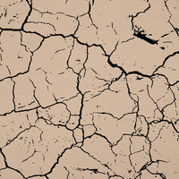 SCORCHED EARTH (black) / beige