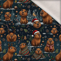 CHRISTMAS CAPYBARA - brushed knitwear with elastane ITY