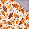 AUTUMN WZ. 4 - softshell