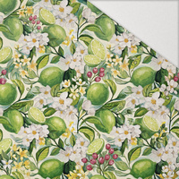 TUTTI FRUTTI WZ. 41 / lime cream - Hydrophober angerauter Wintersweat