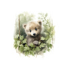 WATERCOLOR LITTLE BEAR - Panel (60cm x 50cm) lycra 300g