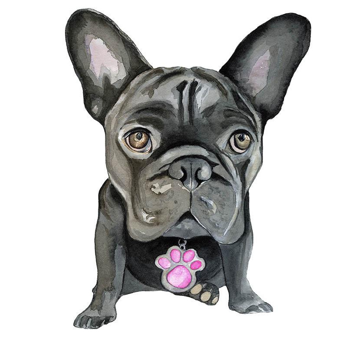 BULDOG / czarny - panel (75cm x 80cm) dzianina pętelkowa