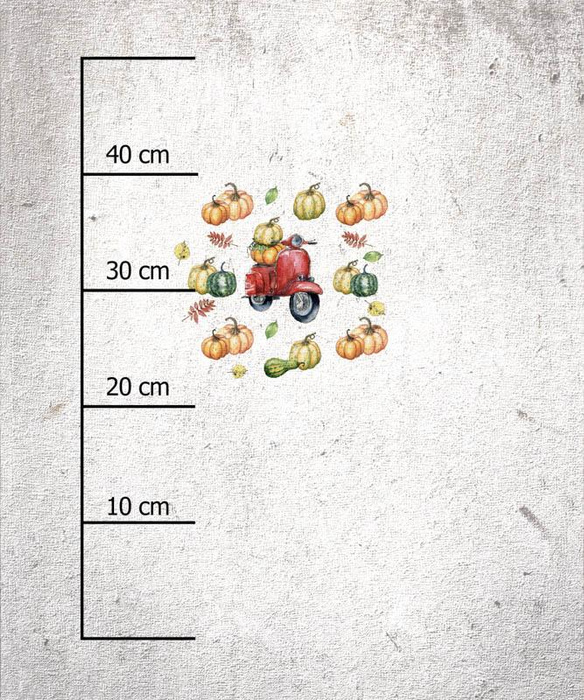 KÜRBISSE AUF DEM SCOOTER (KÜRBISGARTEN) - Paneel 50cm x 60cm