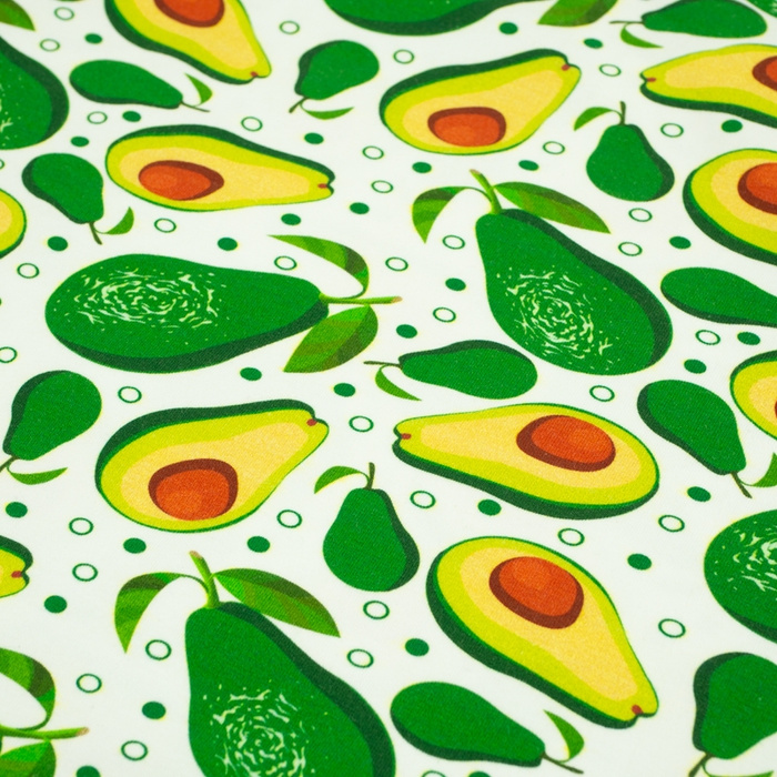 AVOCADOS - bio single jerset mit Elastan TE210 Sommersweat