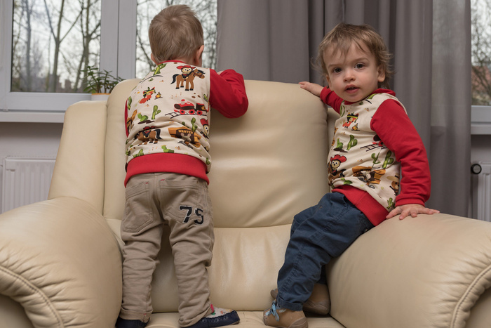 WILD WEST ANIMALS - Viscose jersey WE210