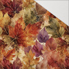 AUTUMN WZ. 9 - Hydrophober angerauter Wintersweat
