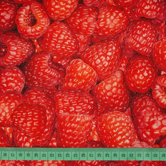 RASPBERRIES - Waterproof woven fabric