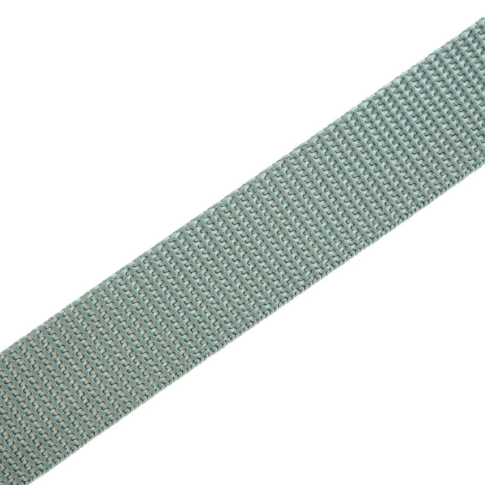 Webbing tape 20mm - dirty mint