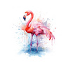 WATERCOLOR FLAMINGO - panel (75cm x 80cm) lycra 300g