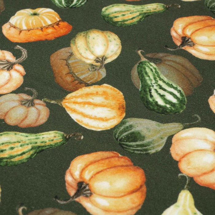 PUMPKINS AND ZUCCHINI / olive (PUMPKIN GARDEN) - single jersey 