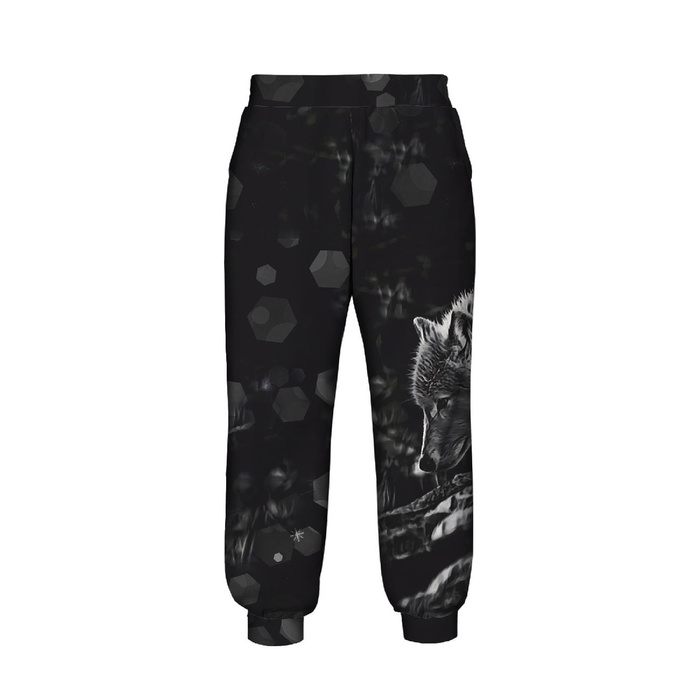 KID'S JOGGERS (ROBIN) - ARCTIC WOLF - sewing set (110/116)